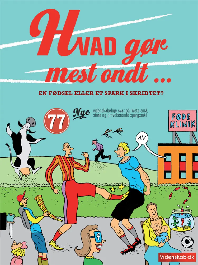 Hvad gør mest ondt - en fødsel eller et spark i skridtet? af Videnskab.dk