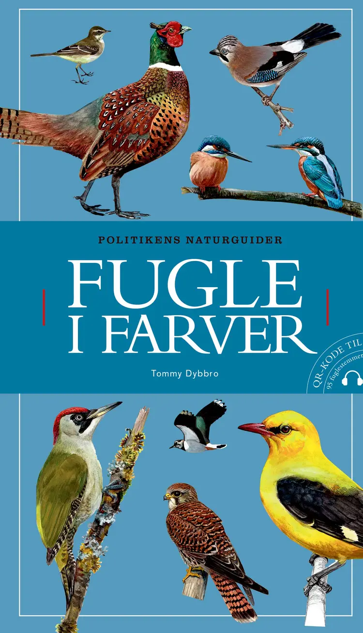 Fugle i farver af Tommy Dybbro