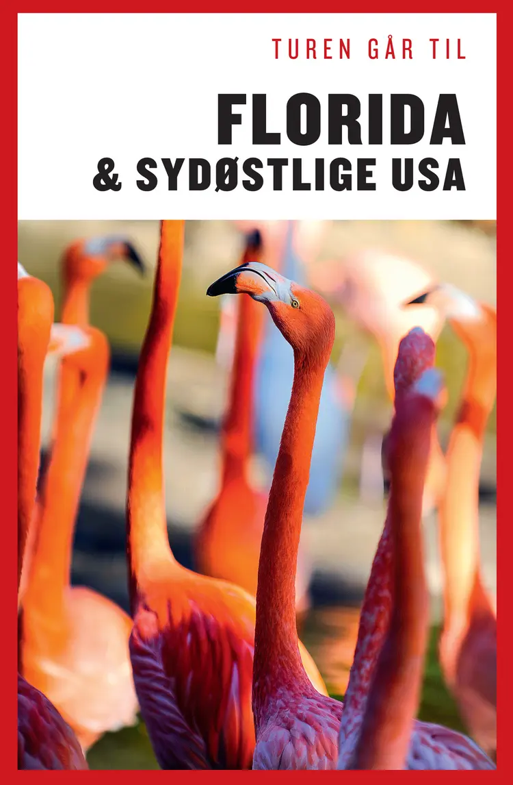 Turen går til Florida & det sydøstlige USA af Morten Scholz