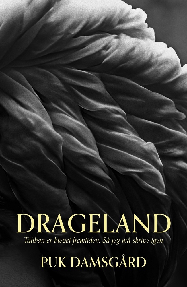 Drageland cover