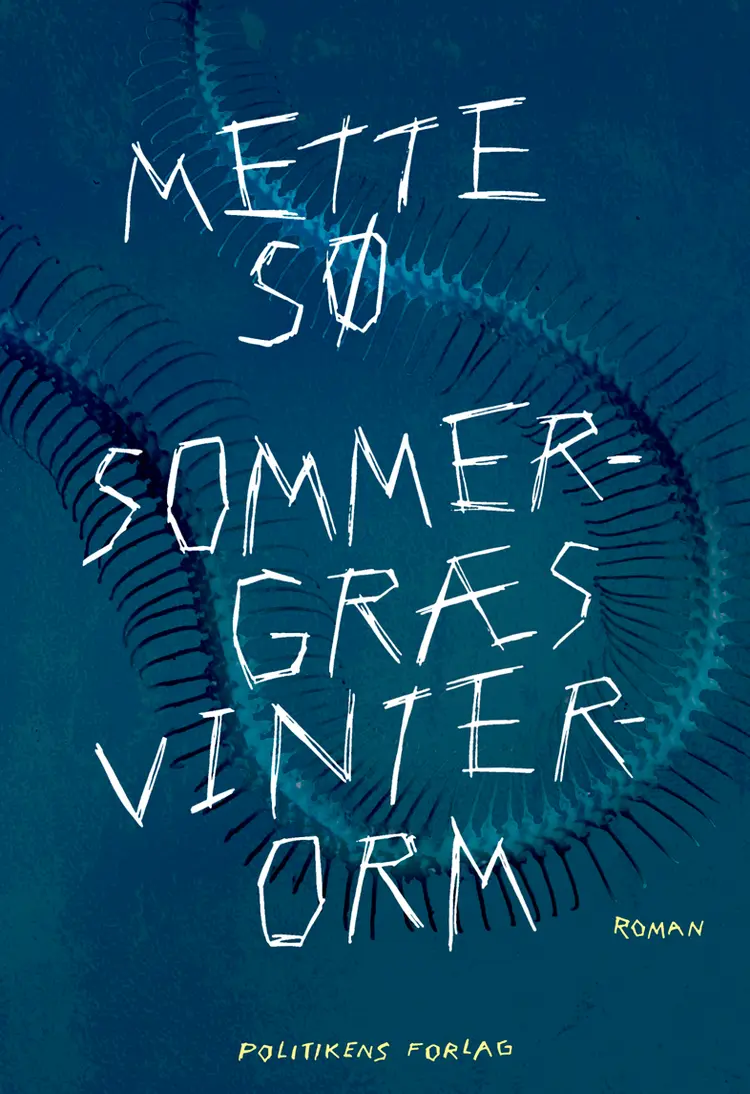 Sommergræs, vinterorm af Mette Sø