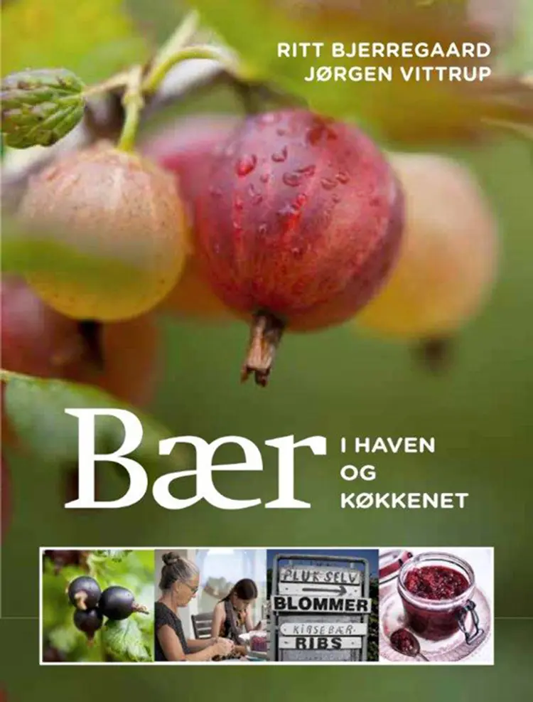 Bær i haven og køkkenet af Ritt Bjerregaard
