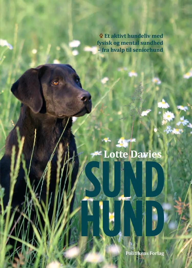 Sund hund af Lotte Davies
