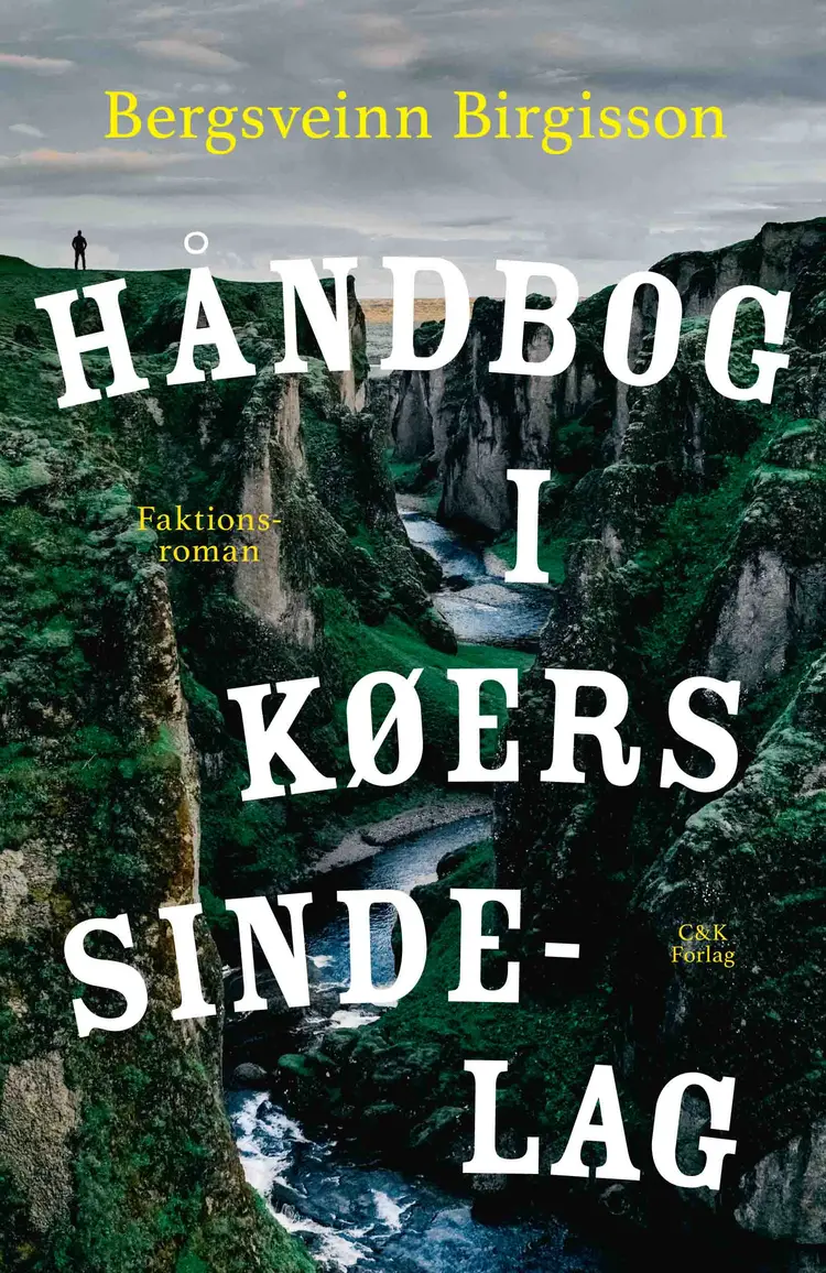 Håndbog i køers sindelag af Bergsveinn Birgisson