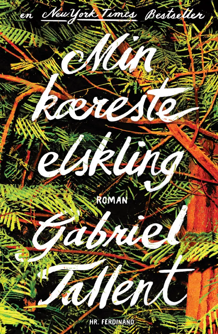 Min kæreste elskling af Gabriel Tallent