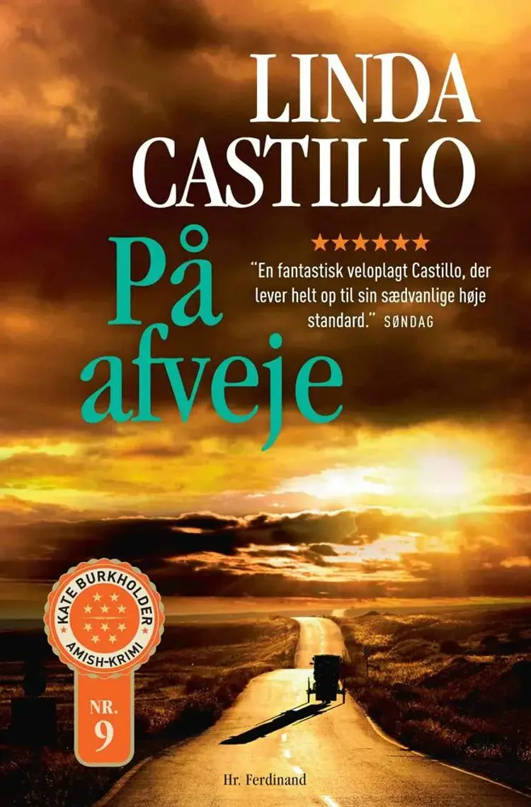 På afveje af Linda Castillo