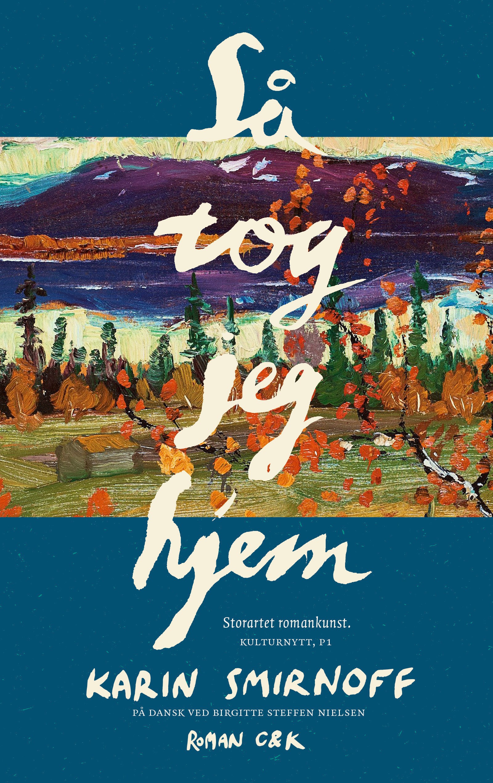 Så tog jeg hjem cover