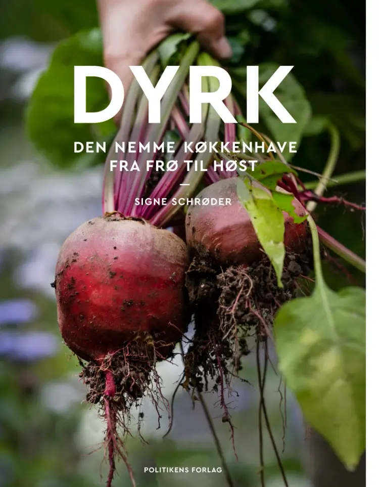 Dyrk af Signe Schrøder