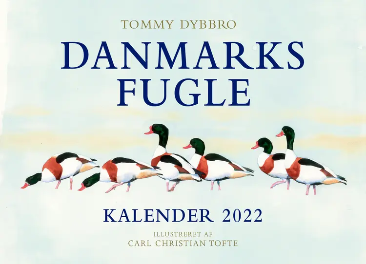 Danmarks fugle - kalender 2022 af Tommy Dybbro