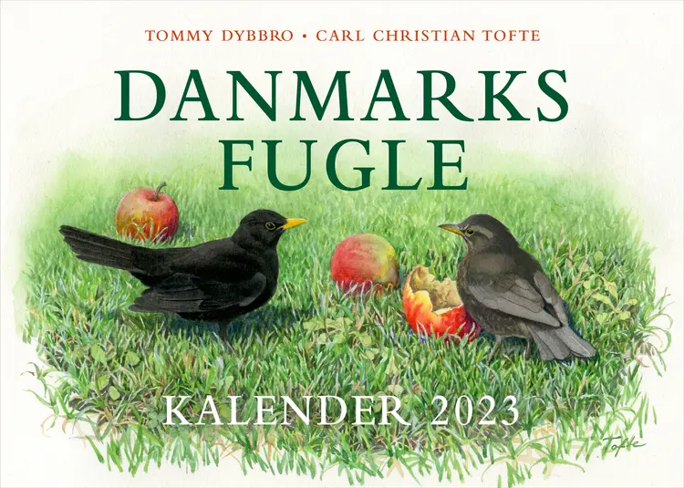 Danmarks fugle - kalender 2023 af Tommy Dybbro