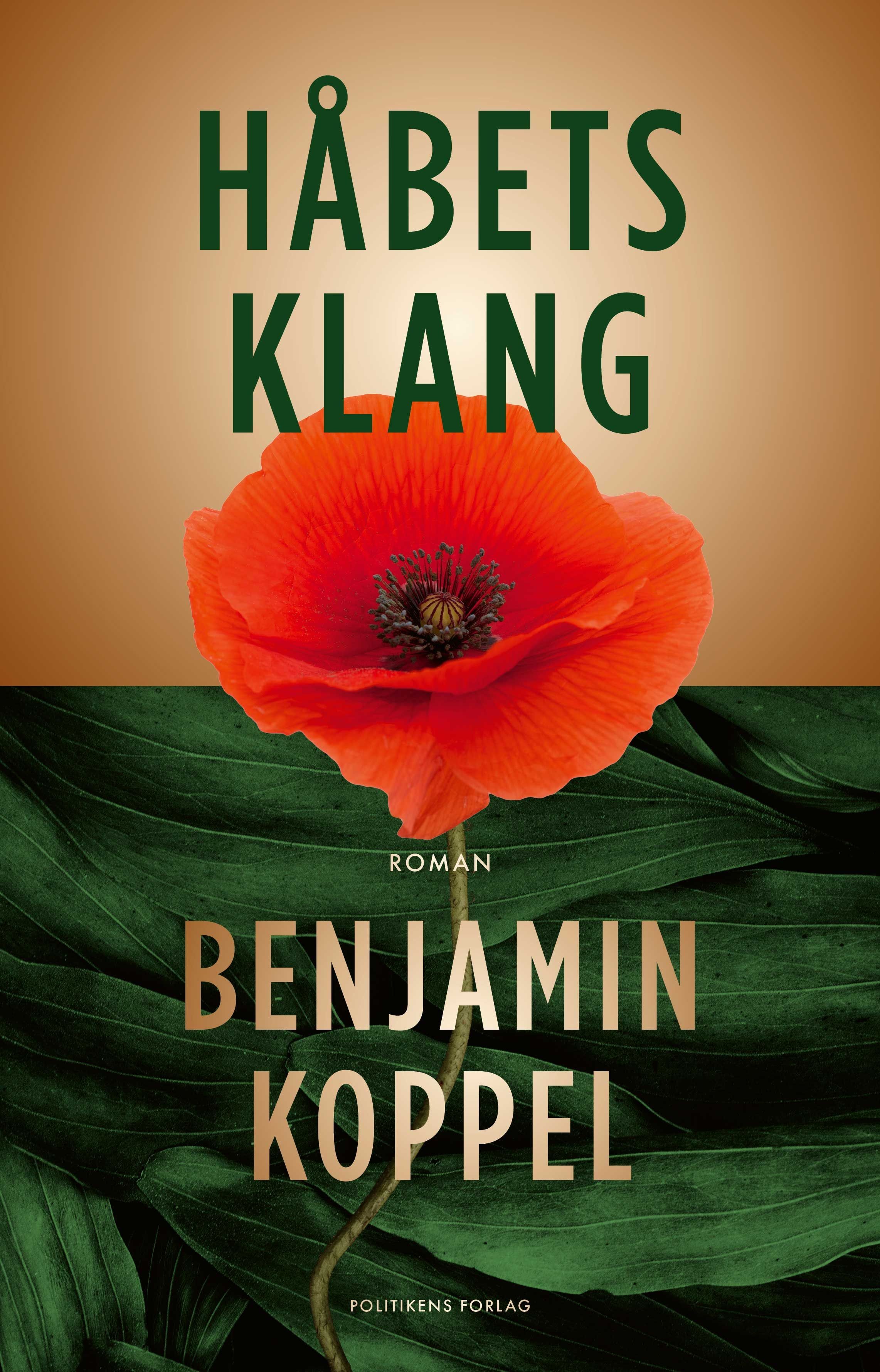 Håbets klang cover