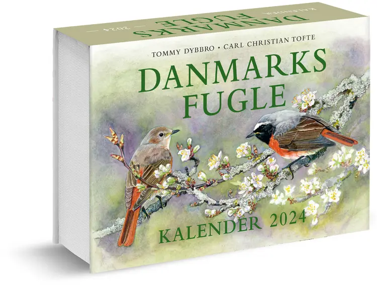 Danmarks fugle - kalender 2024 af Tommy Dybbro