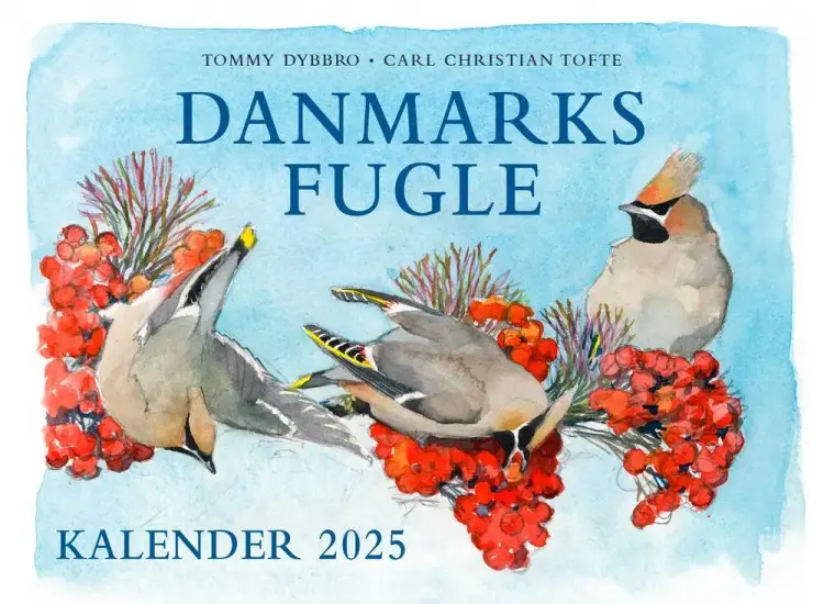 Danmarks fugle - kalender 2025 af Tommy Dybbro