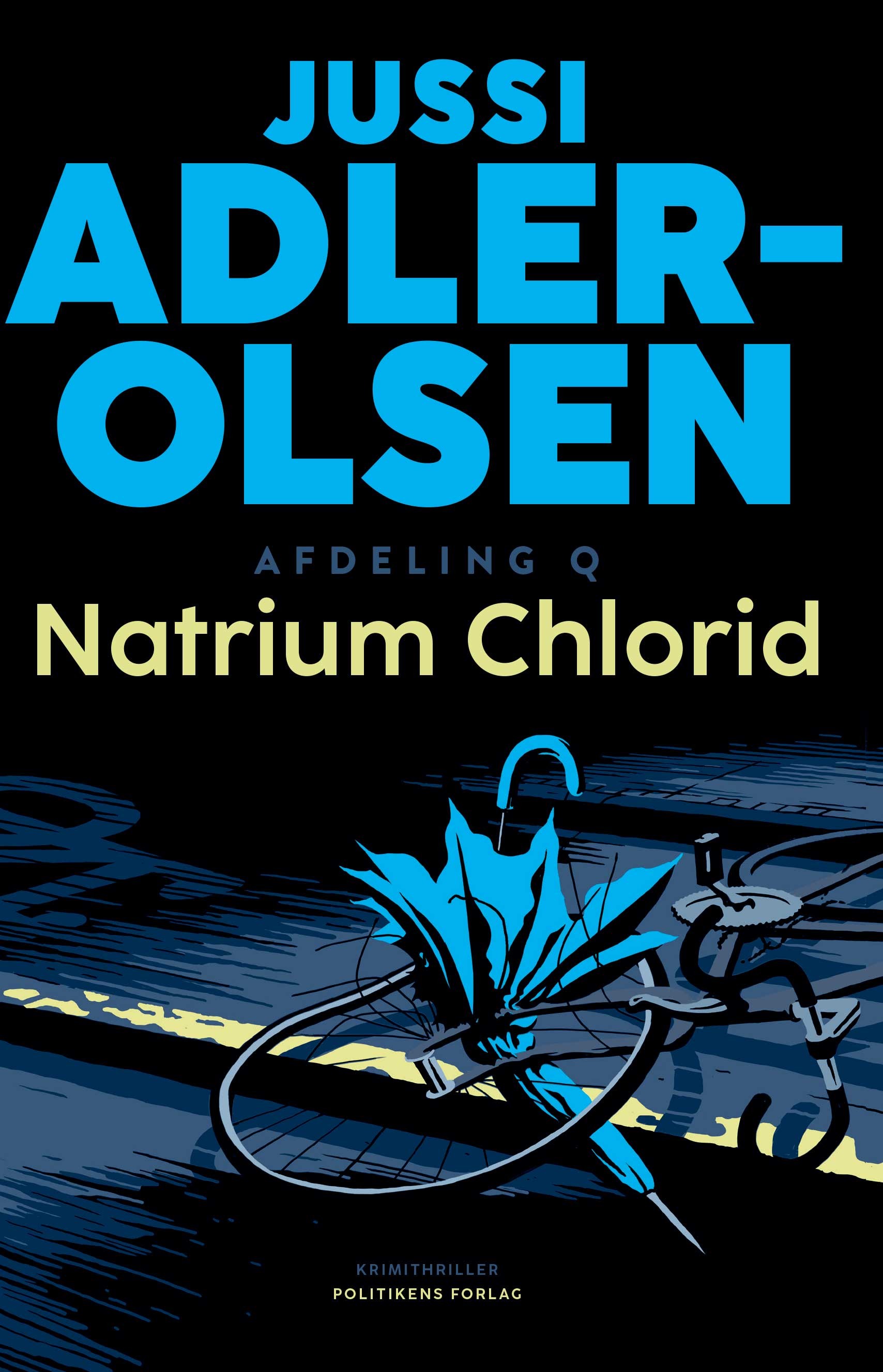 Natrium Chlorid cover