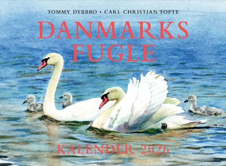Danmarks fugle - kalender 2026 af Tommy Dybbro
