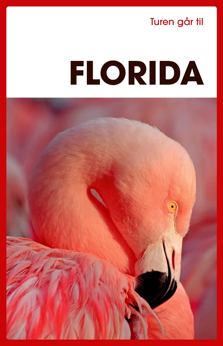 Turen går til Florida af Morten Scholz
