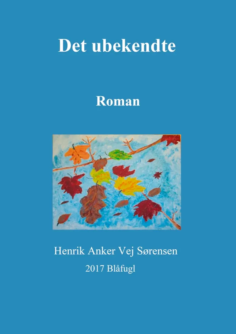 Det ubekendte af Henrik Anker Vej Sørensen