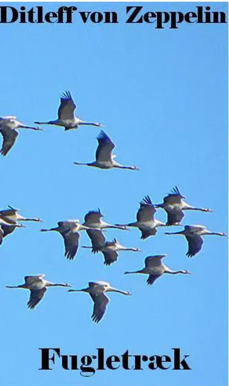 Fugletræk af Ditleff von Zeppelin