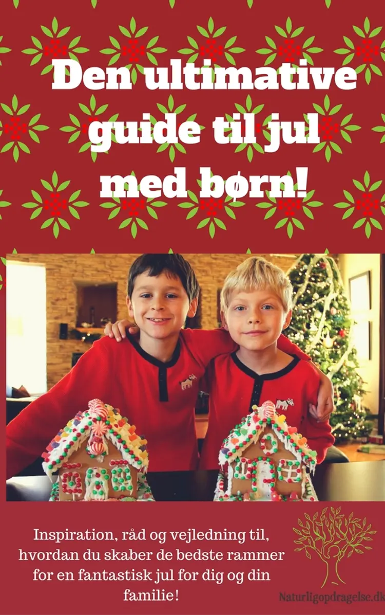 Den Ultimative Guide Til Jul Med Børn af Trine Andreasen