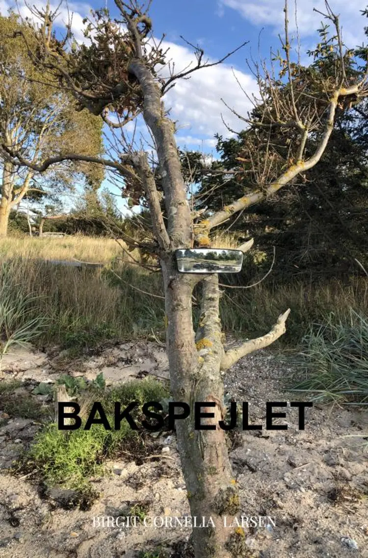 Bakspejlet af Birgit Cornelia Larsen