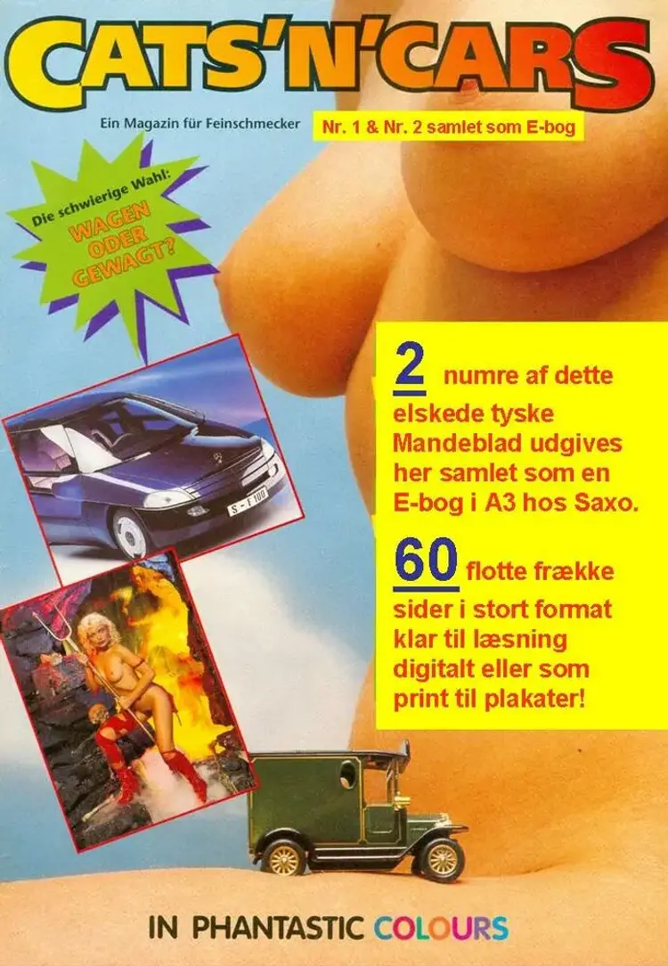 CATS N CARS af Bjarne Castella