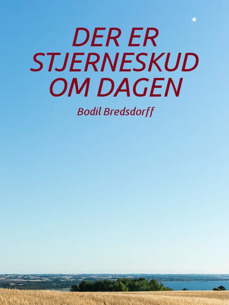 Der er stjerneskud om dagen af Bodil Bredsdorff
