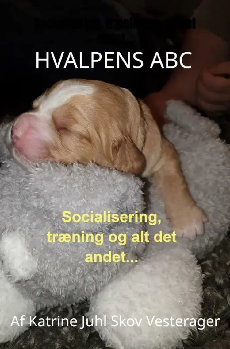 Hvalpens ABC af Katrine Juhl Skov Vesterager