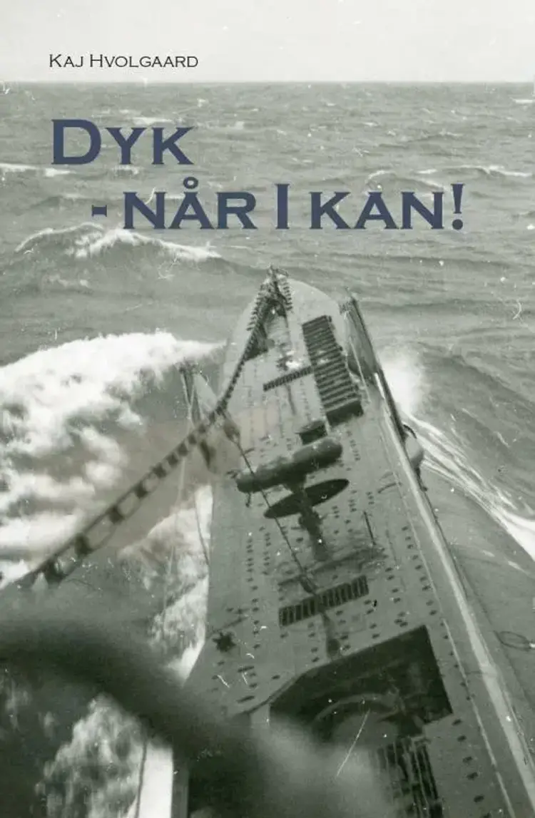 Dyk - Når I kan! af Kaj Hvolgaard