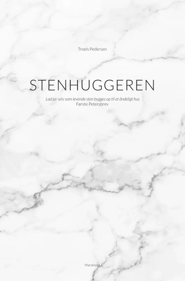 Stenhuggeren af Troels Pedersen