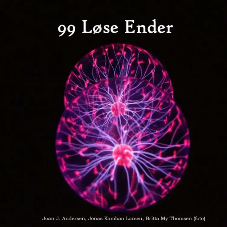 99 Løse Ender af Joan J. Andersen