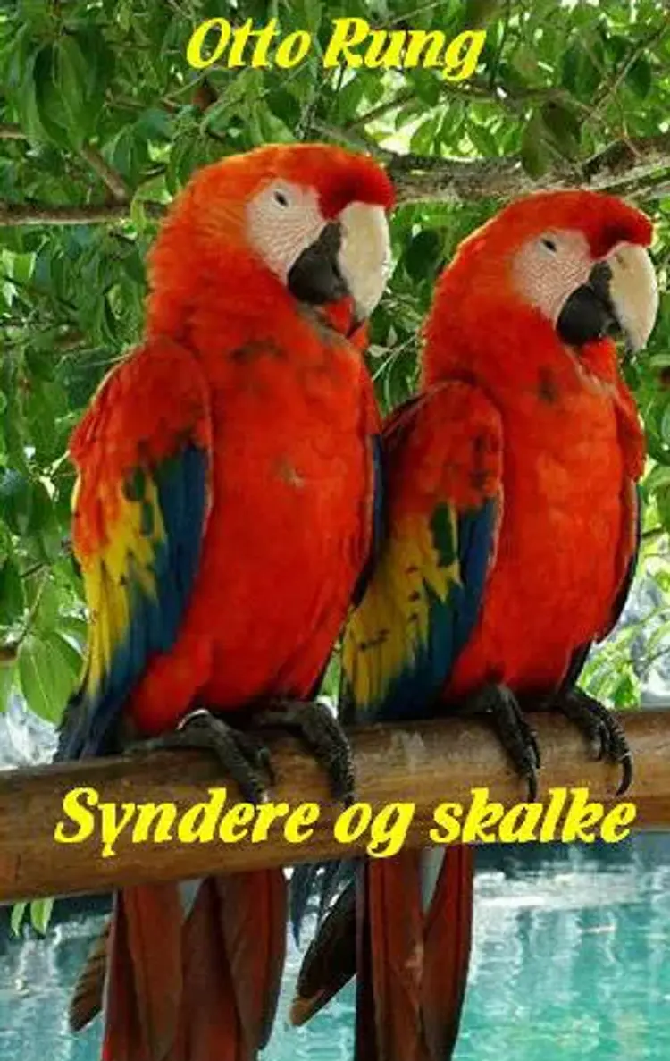 Syndere og skalke af Otto Rung