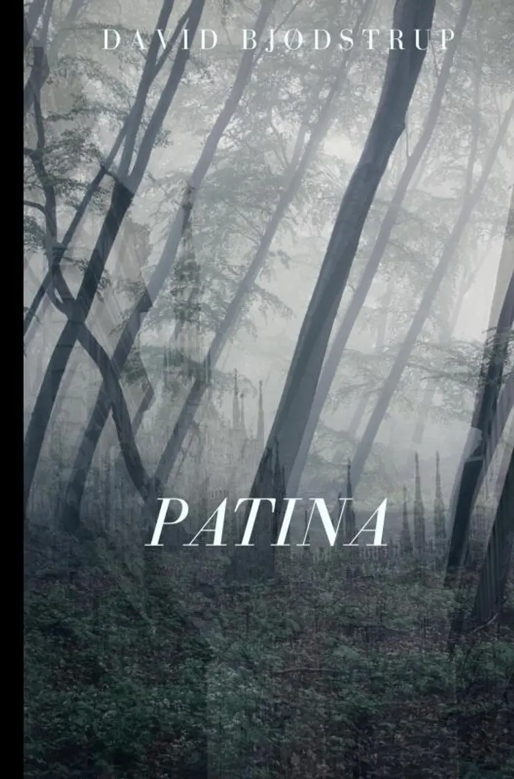 Patina af David Bjødstrup
