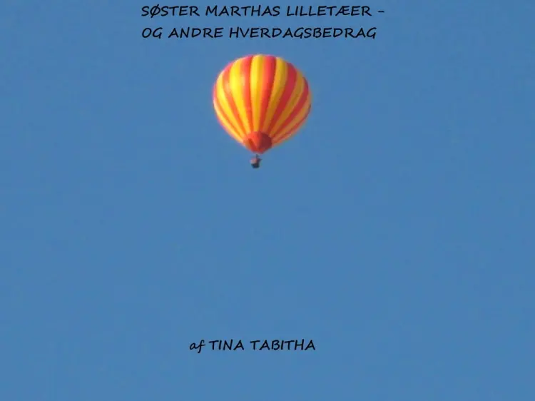 Søster Marthas Lilletæer - og andre hverdagsbedrag af Tina Tabitha