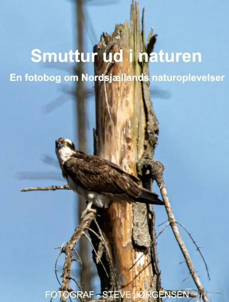 Smuttur ud i naturen af Steve Jørgensen