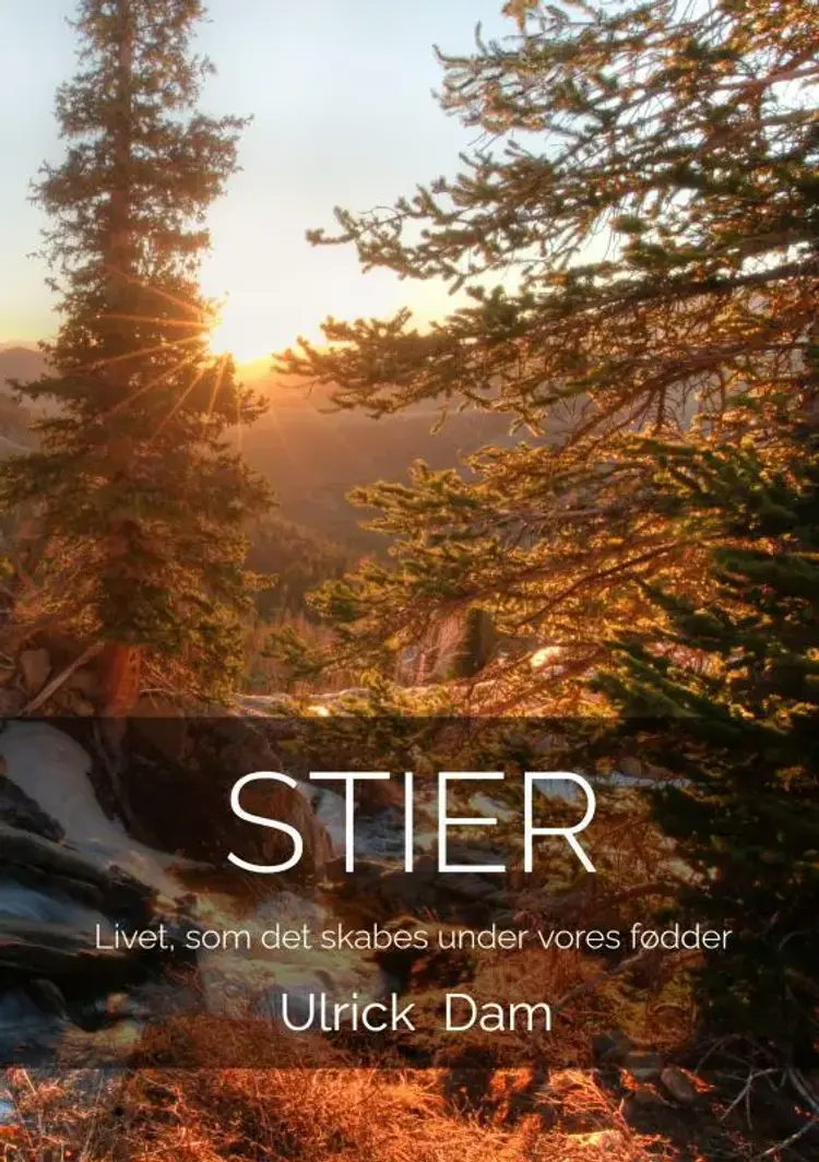 STIER af Ulrick Dam