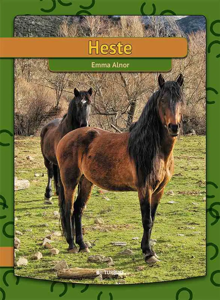 Heste 