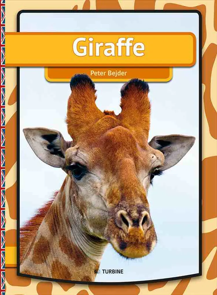 Giraffe af Peter Bejder