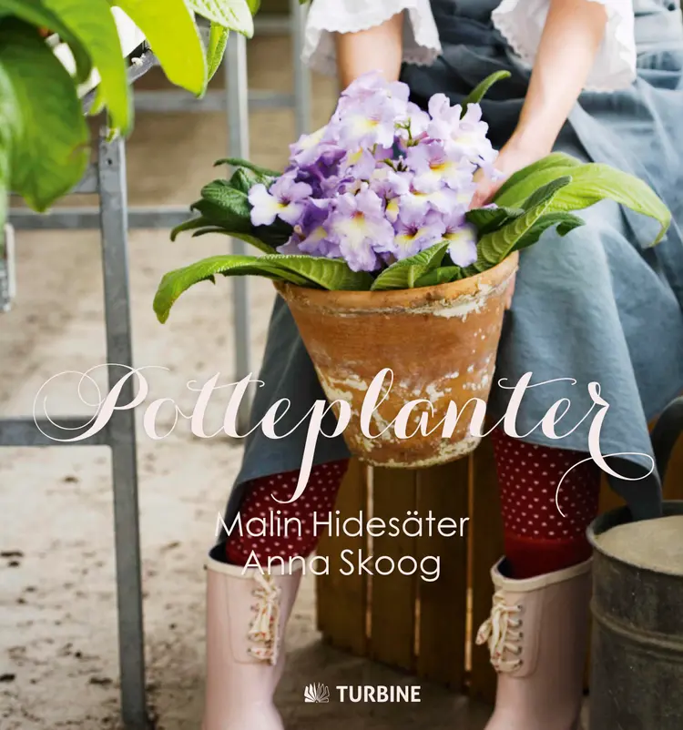 Potteplanter af Malin Hidesäter