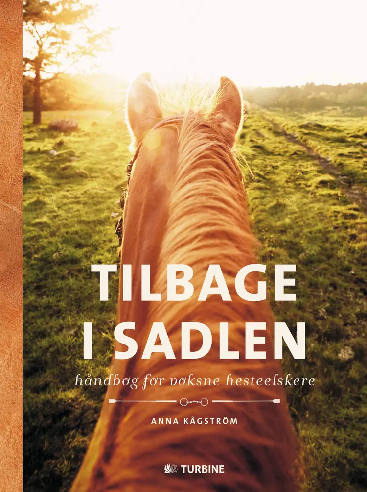 Tilbage i sadlen af Anna Kågström