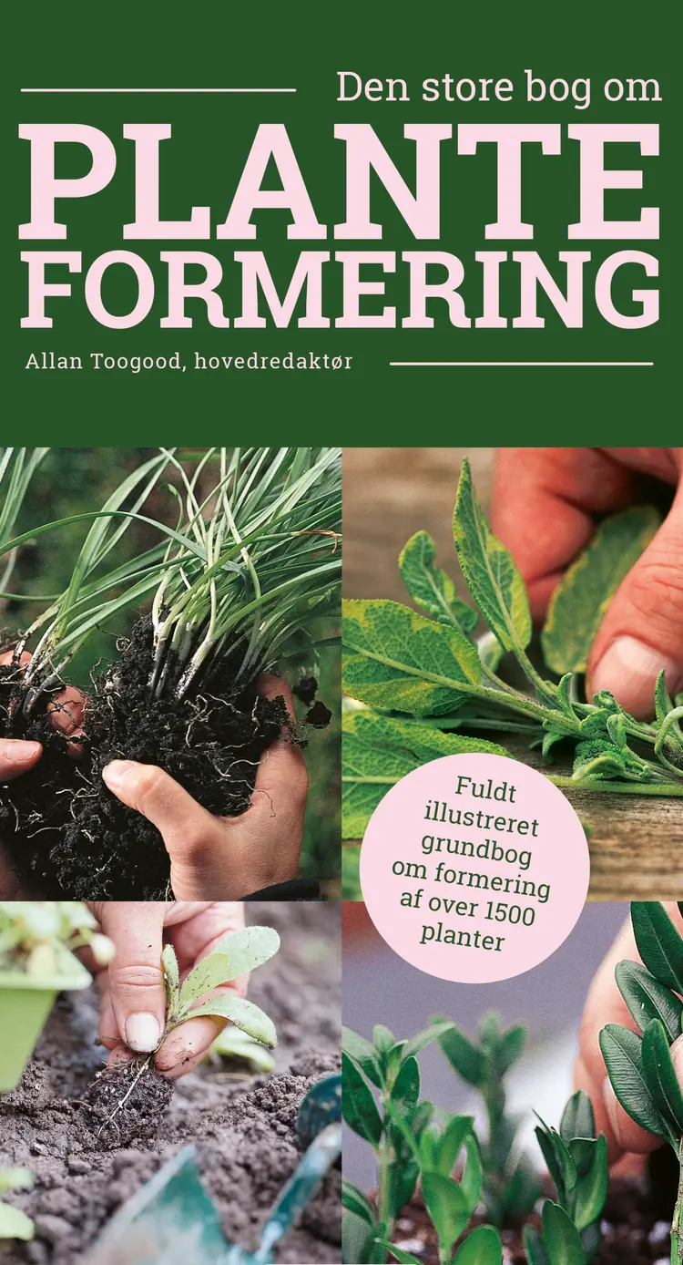 Den store bog om planteformering af Allan Toogood
