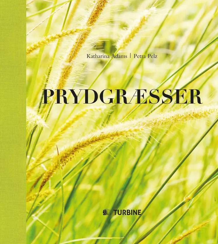Prydgræsser af Katharina Adams