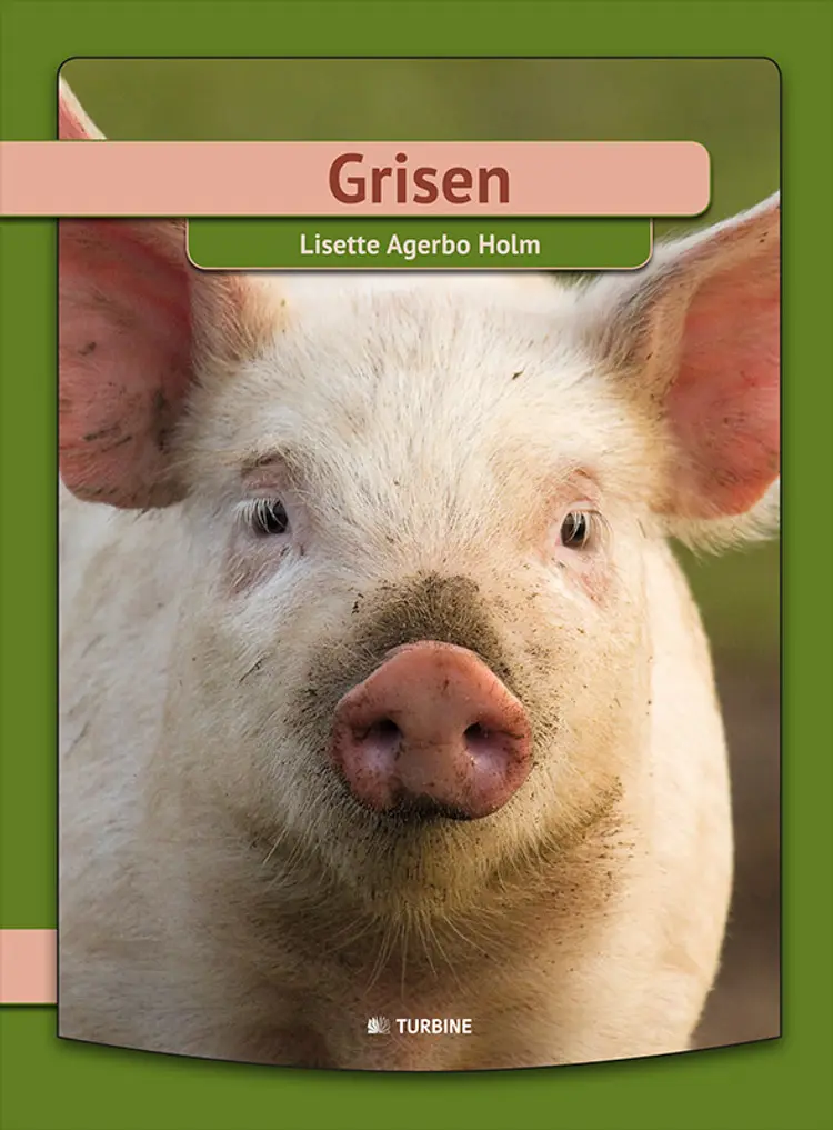 Grisen af Lisette Agerbo Holm