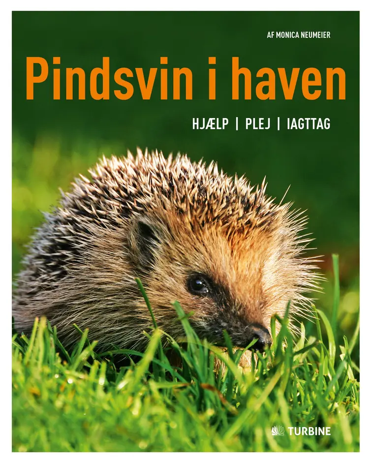Pindsvin i haven af Monica Neumeier