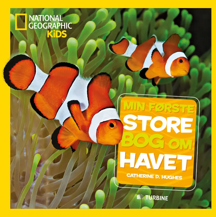 Min første store bog om havet af Catherine D. Hughes