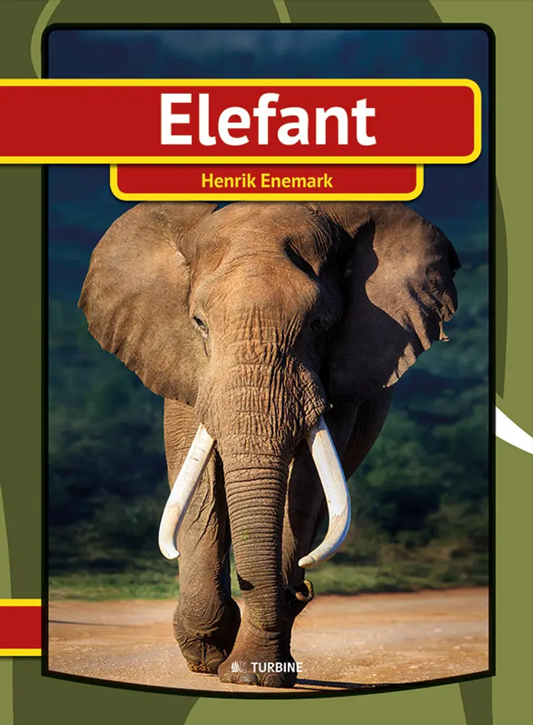 Elefant af Henrik Enemark