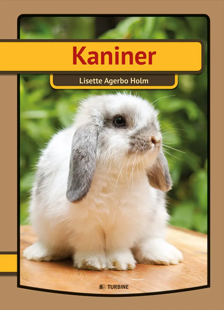 Kaniner af Lisette Agerbo Holm