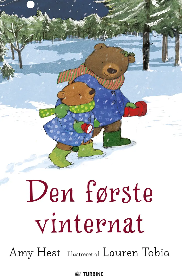 Den første vinternat af Amy Hest