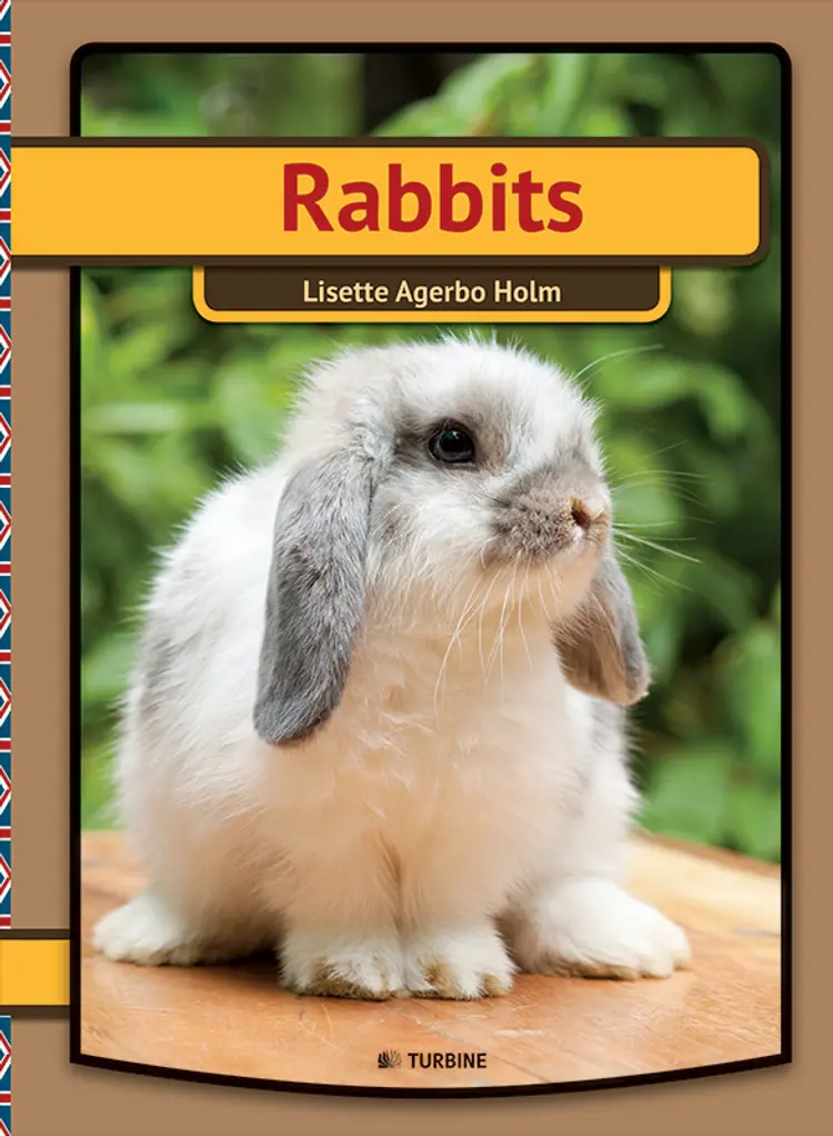 Rabbits af Lisette Agerbo Holm