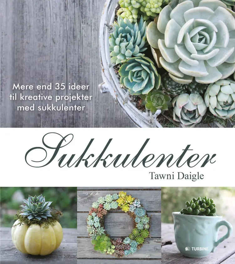 Sukkulenter af Tawni Daigle