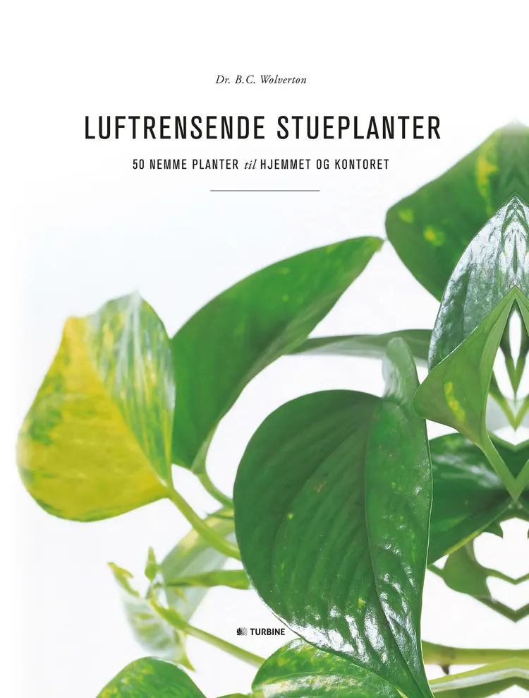 Luftrensende stueplanter af B. C. Wolverton